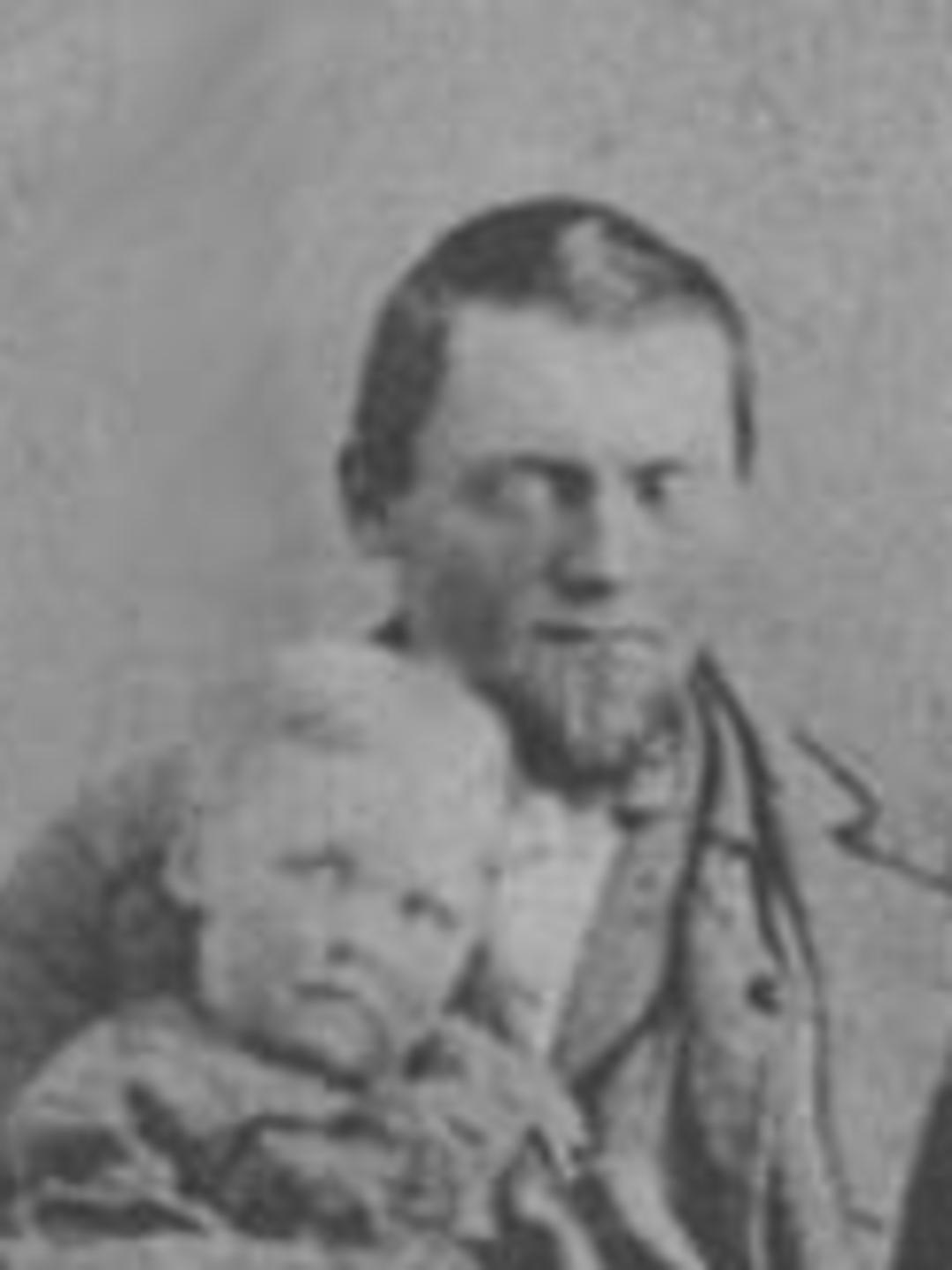 Hans David Petterson (1832 - 1905)